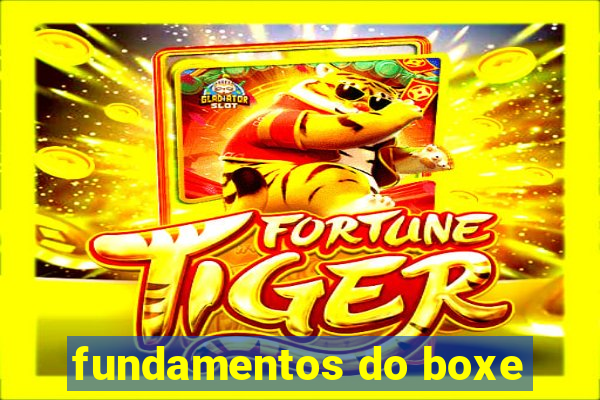 fundamentos do boxe